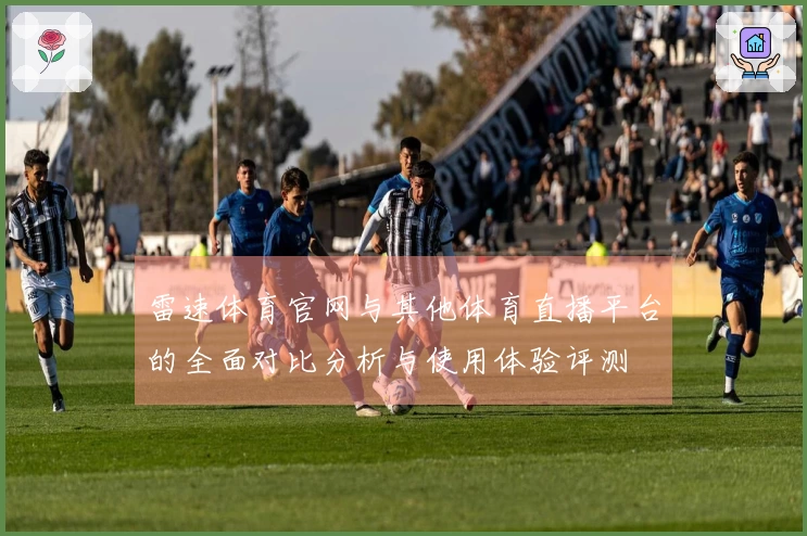 雷速体育官网与其他体育直播平台的全面对比分析与使用体验评测